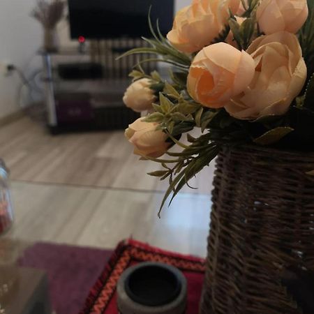 Deea Apartament Apartman Craiova Kültér fotó