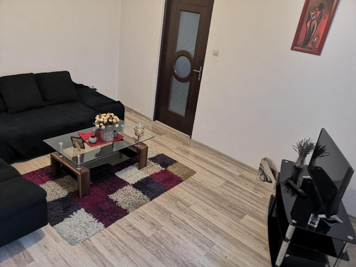 Deea Apartament Apartman Craiova Kültér fotó